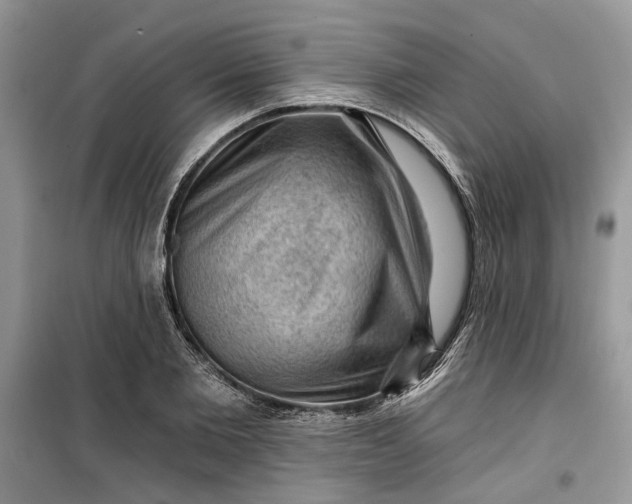 X0000099500885200805291125