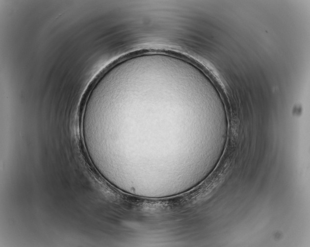 X0000099500887200805291125