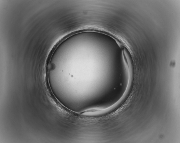 X0000099500888200805291125