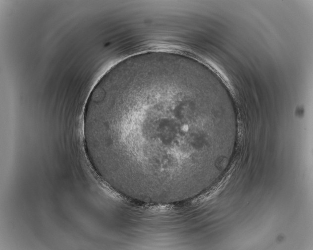 X0000099500891200805291125