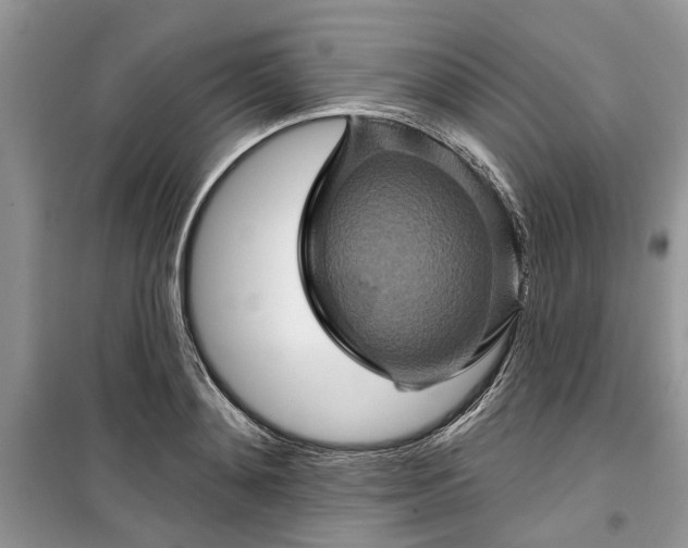 X0000099500892200805291125