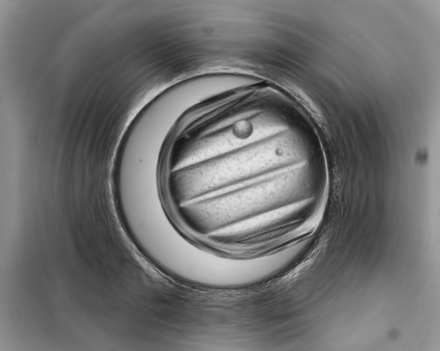 X0000099500893200805291125