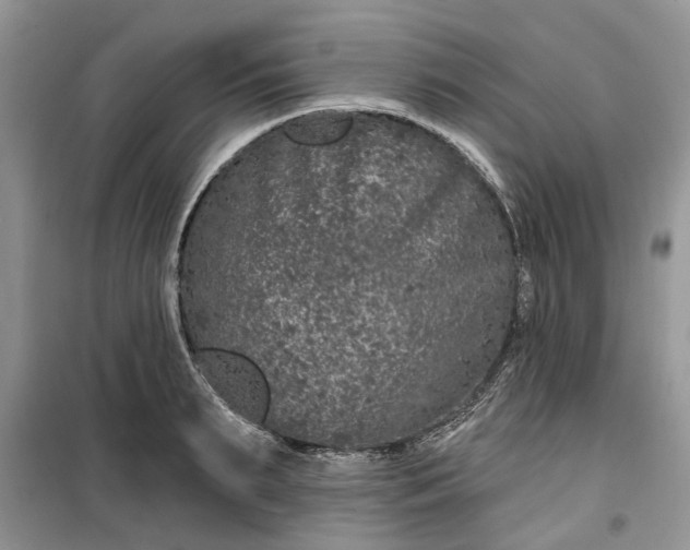 X0000099500895200805291125