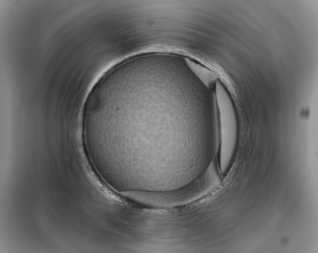 X0000099500896200805291125