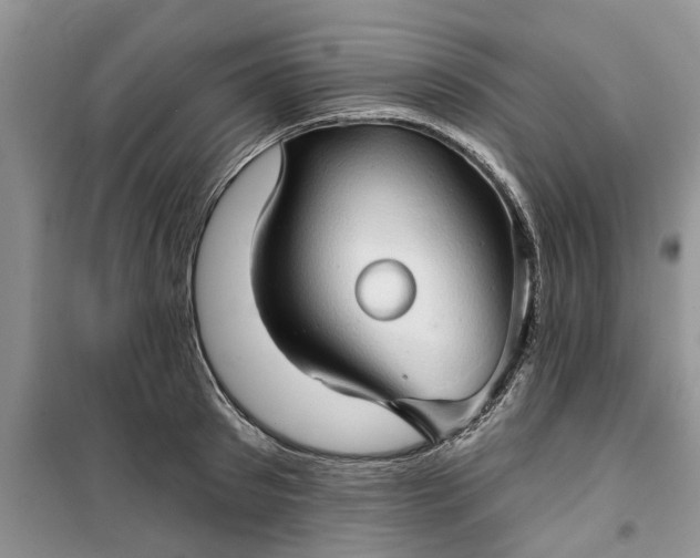 X0000099500897200805291125