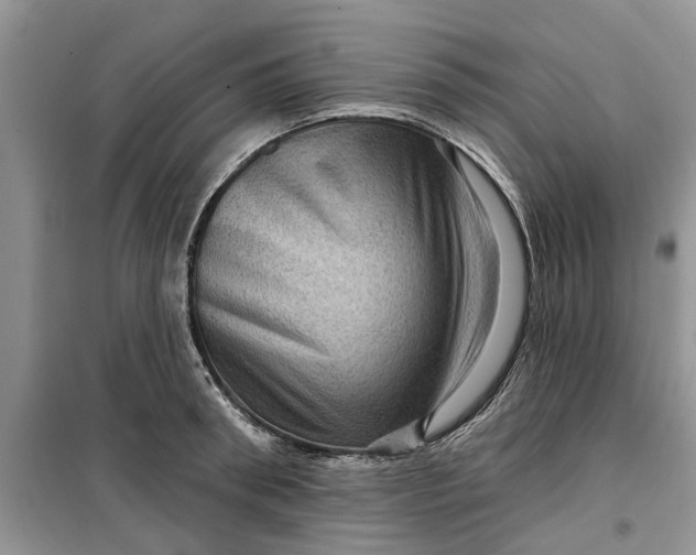 X0000099500898200805291125