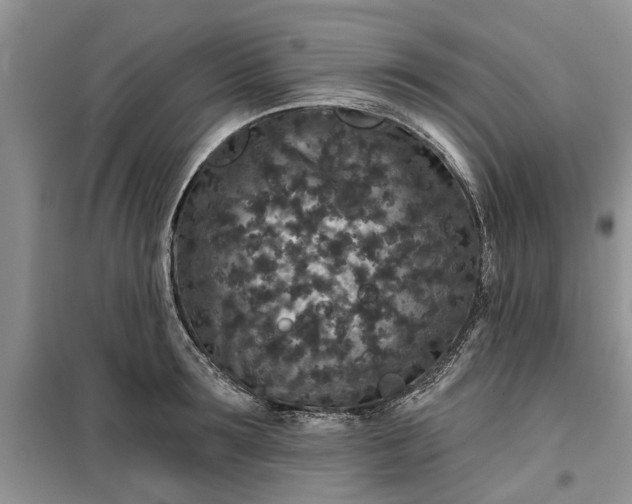 X0000099500899200805291125