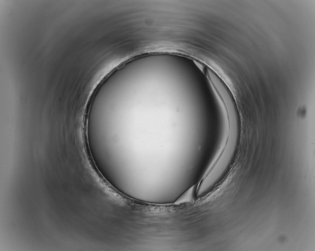 X0000099500901200805291125