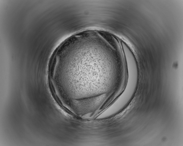 X0000099500902200805291125