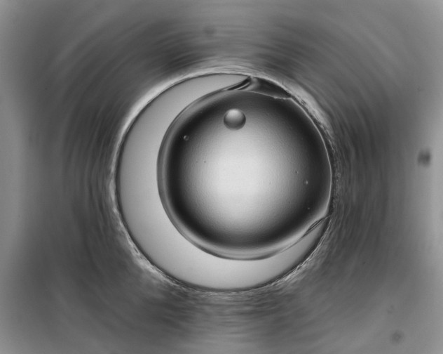 X0000099500904200805291125