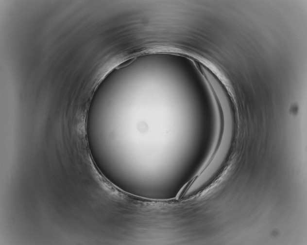 X0000099500905200805291125