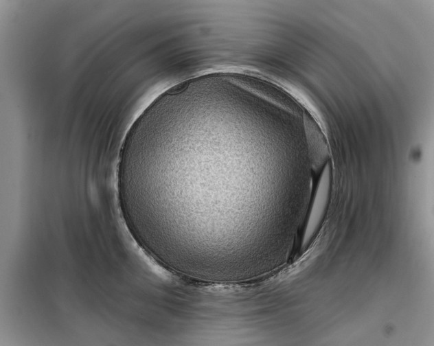 X0000099500906200805291125