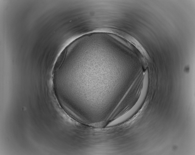 X0000099500908200805291125