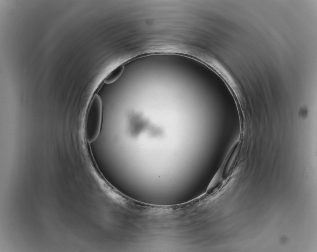 X0000099500909200805291125