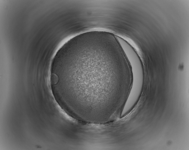 X0000099500910200805291125