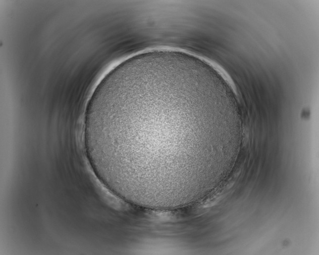 X0000099500911200805291125