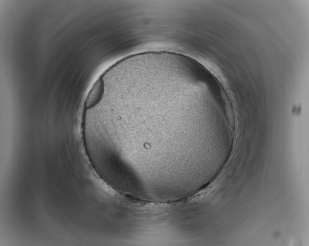 X0000099500912200805291125