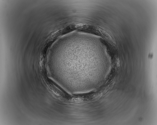 X0000099500914200805291124