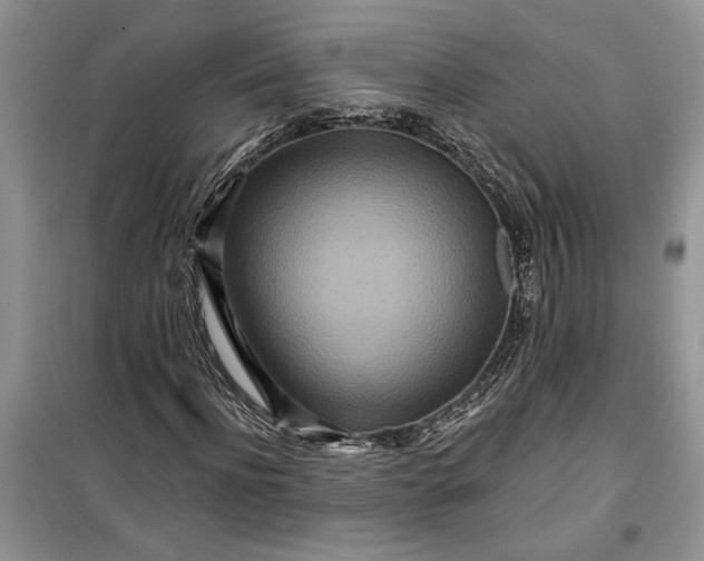 X0000099500916200805291124