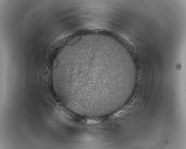 X0000099500917200805291124