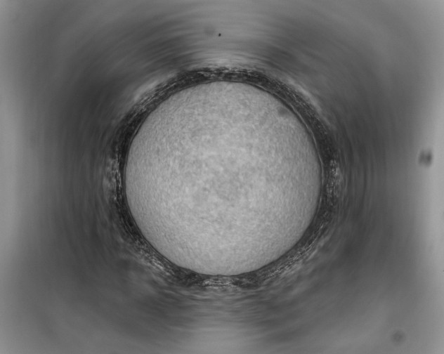 X0000099500918200805291125