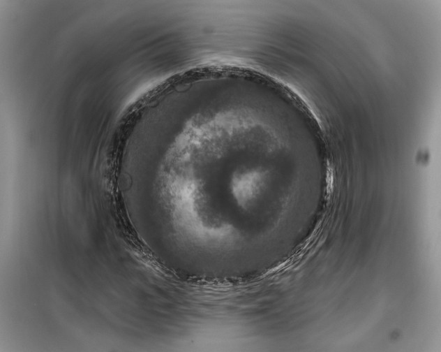 X0000099500919200805291125