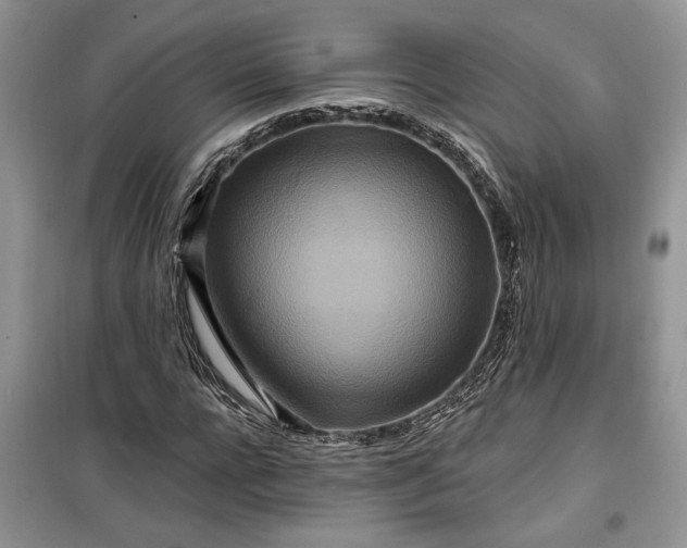 X0000099500920200805291125