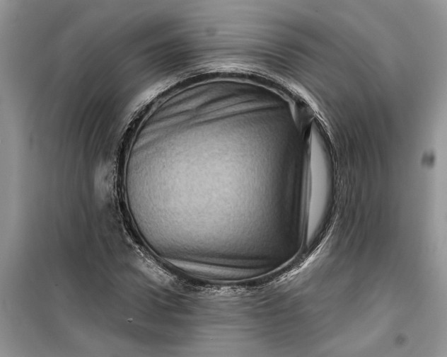 X0000099500922200805291125