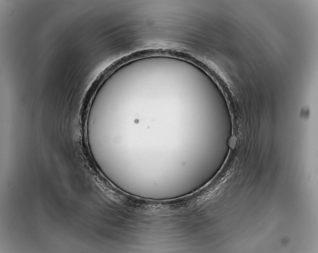 X0000099500927200805291125