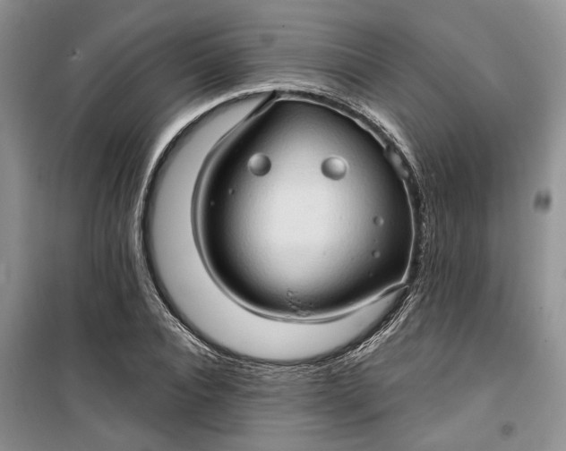 X0000099500928200805291125