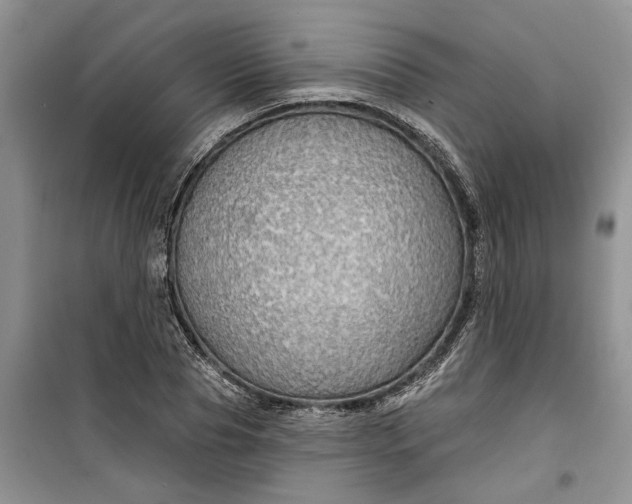 X0000099500929200805291125