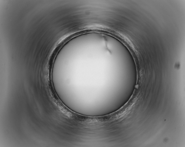 X0000099500931200805291125