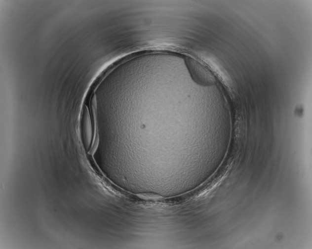 X0000099500932200805291125