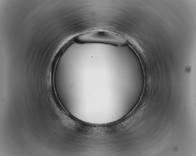 X0000099500934200805291125