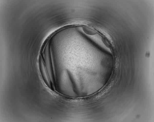 X0000099500936200805291125