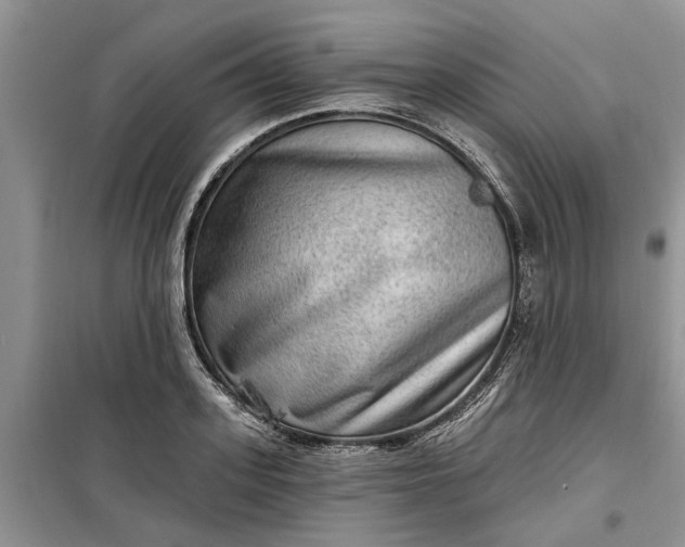 X0000099500939200805291125