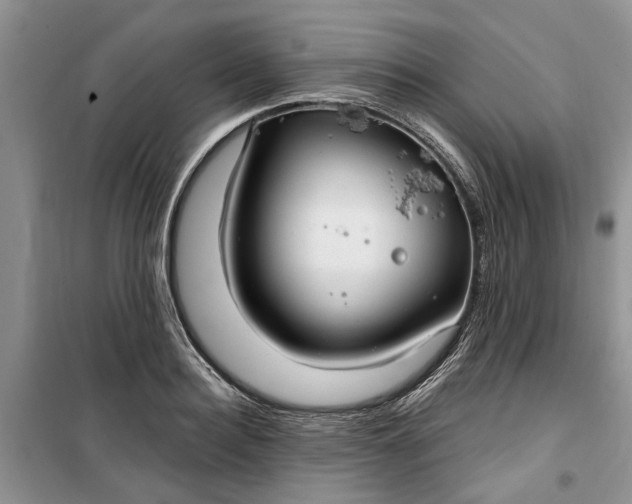 X0000099500940200805291125