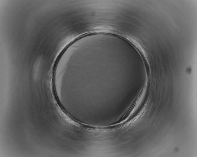 X0000099500941200805291125