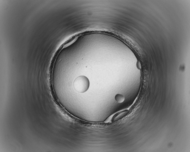 X0000099500942200805291125