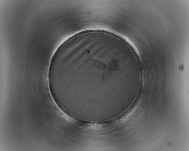 X0000099500943200805291125