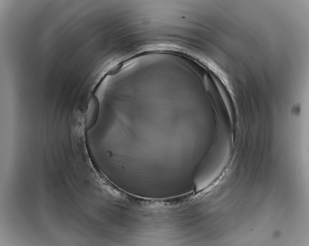 X0000099500945200805291125