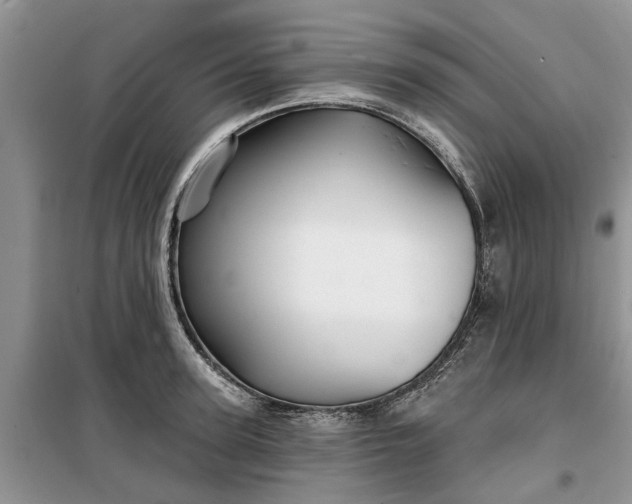 X0000099500947200805291125