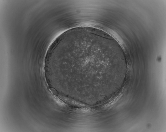 X0000099500948200805291125