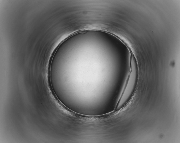 X0000099500949200805291125