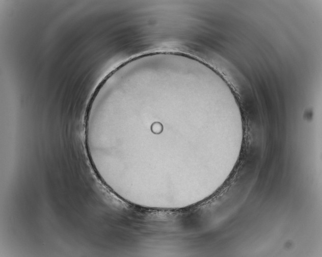 X0000099500950200805291125