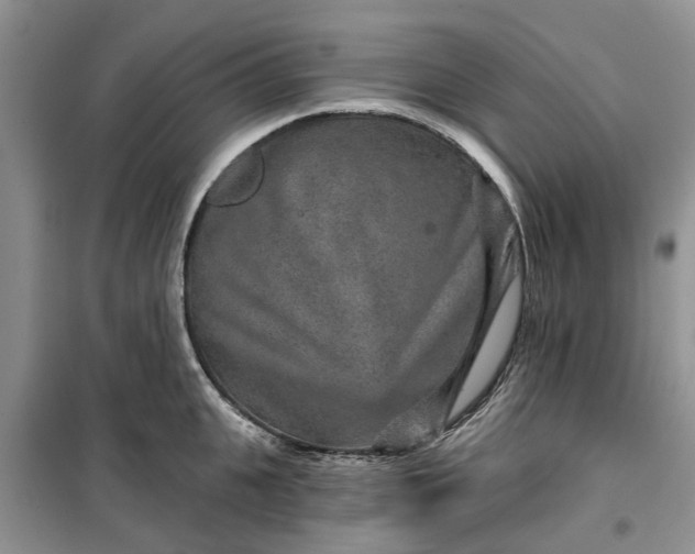 X0000099500951200805291125