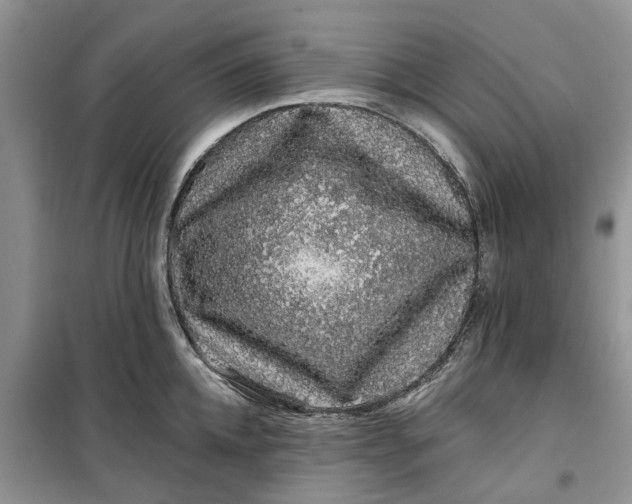 X0000099500952200805291125