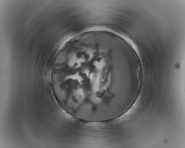 X0000099500953200805291125