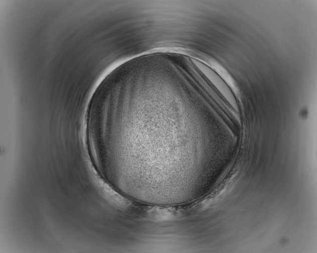 X0000099500955200805291125