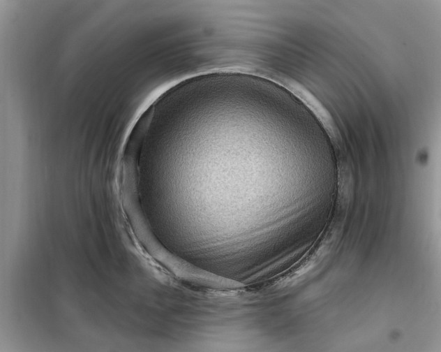 X0000099500956200805291125